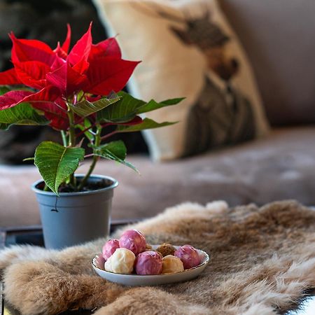 Livadi Cozy Villa Arachova Luaran gambar