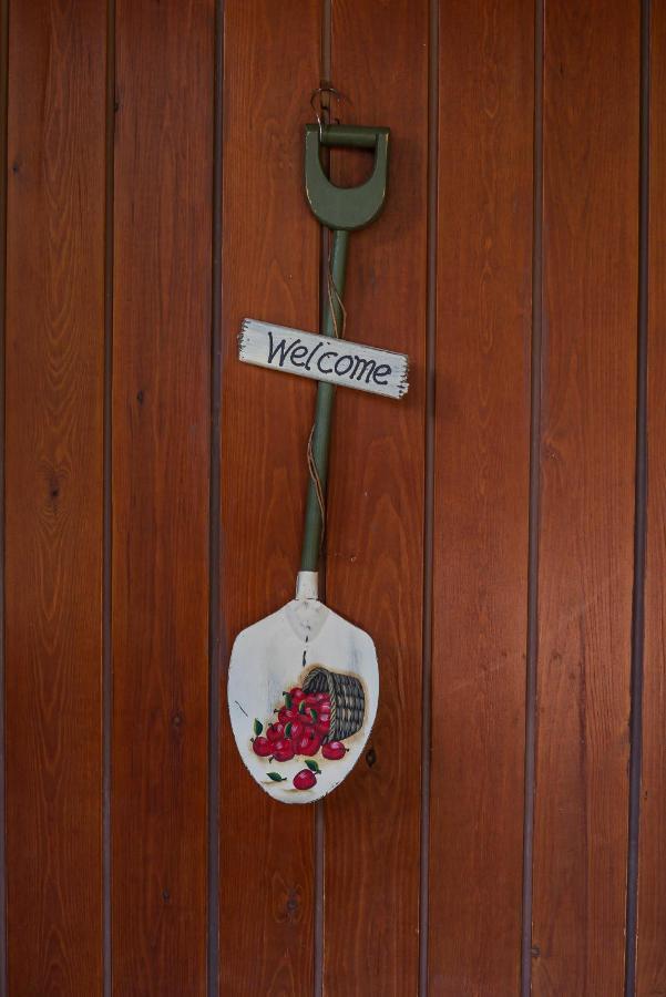 Livadi Cozy Villa Arachova Luaran gambar